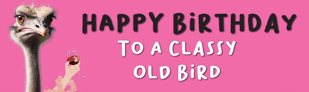 Happy Birthday Funny Banner - Classy Old Bird - Pink