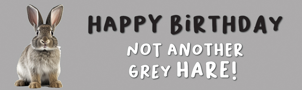 Happy Birthday Funny Banner - Not Another - Grey Hare