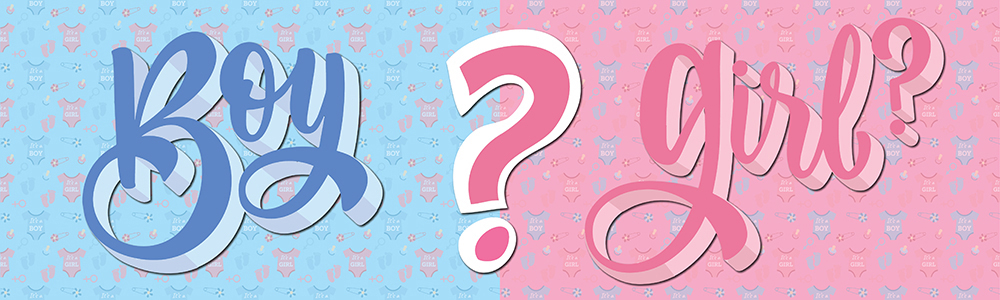 Gender Reveal Party Banner - Blue Pink Boy Or Girl Baby
